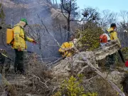 Pará abre 112 vagas para brigadistas florestais com salários de até R$ 3 mil