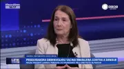 Pesquisadora Neuza Frazatti lidera vacina 100% brasileira contra dengue em dose única