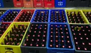 Polícia prende cinco suspeitos por falsificação de cerveja em Piracicaba