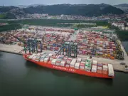 Porto de Santos prorroga descontos para 'navios verdes' por mais 120 dias