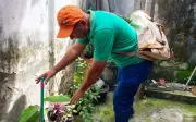 Prefeitura de Feira de Santana divulga resultado de concurso para agentes de endemias