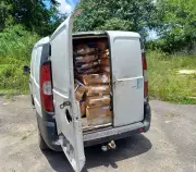 PRF apreende 630 kg de pescados transportados sem refrigeração em furgão no Recife