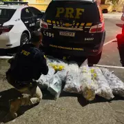 PRF apreende quase 50 kg de drogas em Niterói e desarticula esquema com taxista batedor