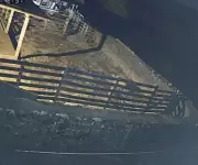 Puma invade propriedade rural e ataca ovelhas em Bom Jardim da Serra, SC