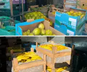 Quatro presos por furto de merenda escolar em Campinas: funcionários envolvidos