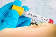 Santarém decreta emergência em saúde pública devido ao aumento alarmante de casos de dengue