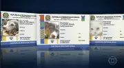 SinPatinhas: mais de 1 milhão de pets registrados auxiliam políticas públicas e buscas