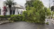 Tempestade com ventos fortes e granizo causa estragos em Caçapava, SP