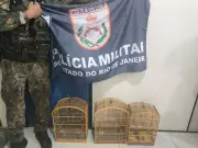 Três pássaros silvestres são resgatados de cativeiro ilegal em Pinheiral, no RJ