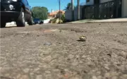 Vale do Paraíba lidera mortes violentas no interior de SP com 44 casos em 2026