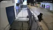 Vídeo mostra suspeito de matar professor de dança saindo da casa da vítima em Belo Horizonte