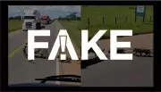 Vídeo viral de onça com filhotes em rodovia de MT é falso e gerado por IA