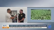 Vídeos do G1 e TV Subaé: Confira as principais notícias de Feira de Santana nesta terça-feira