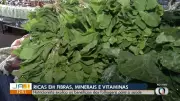 Vídeos Já 2ª Edição: Tocantins apresenta notícias de terça-feira, 3 de março de 2026