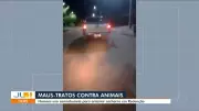 Vídeos JL1: Confira os principais destaques do telejornal paraense desta segunda-feira