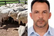 Vereador de MT é solto após pagar fiança por suspeita de receptação de gado furtado