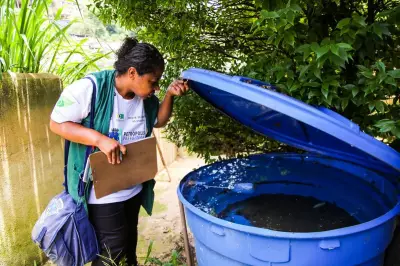 Acre registra queda de 81% nos casos prováveis de dengue no primeiro trimestre de 2026