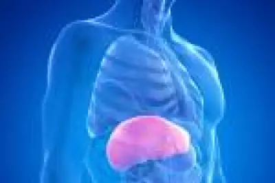 Algoritmo GAAD eleva detecção de câncer de fígado de 55% para 72% em estudo