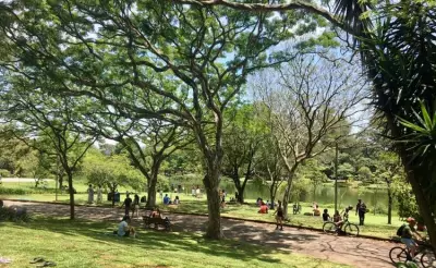 Aulão de defesa pessoal feminina no Parque Ibirapuera neste domingo