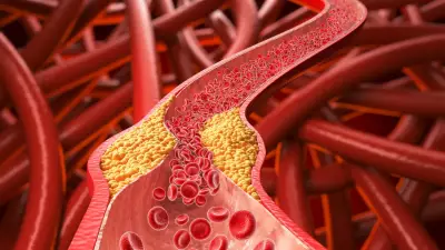 Aveia se consolida como aliada no combate ao colesterol alto, aponta estudo alemão