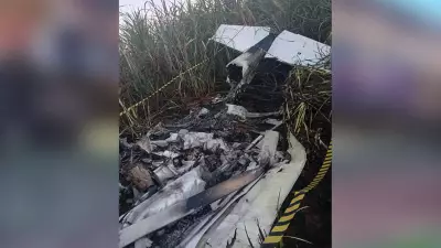 Avião monomotor Cessna cai e piloto morre carbonizado em área rural de Altair (SP)