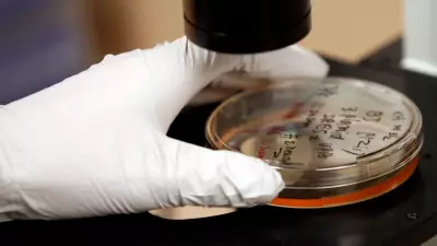 Bactéria estomacal silenciosa pode causar 12 milhões de casos de câncer em uma década