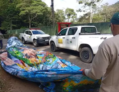 Balão de 15 metros com GPS é apreendido em Petrópolis após queda em área verde