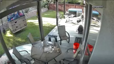 Balão tripulado faz pouso de emergência em quintal de casa na Califórnia