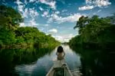 BNDES lança primeira concessão florestal federal na Amazônia, com investimentos de R$ 77 milhões