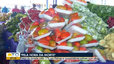 Bom Dia Tocantins: Programação Completa para Segunda-feira, 20 de Abril de 2026