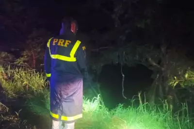 Caminhão cai em represa no Paraná; motorista salva filha e desaparece, menina morre