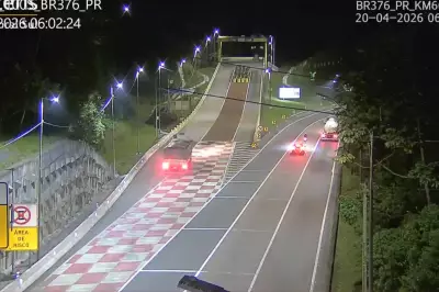 Caminhão carregado de soja perde freios e tomba em área de escape na BR-376, no Paraná