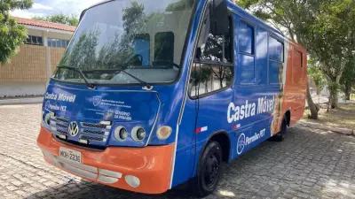 Castra+ Paraíba oferece 430 vagas para castração animal gratuita em seis cidades