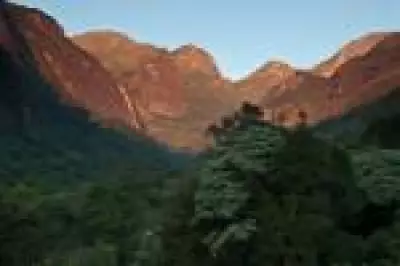 Centro brasileiro lança portfólio de tecnologias verdes para agro e conservação ambiental