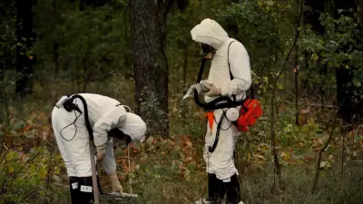 Chernobyl: 40 anos depois, vida selvagem prospera na zona de exclusão
