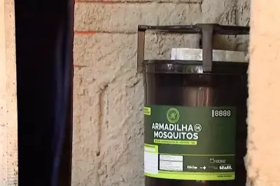 Chikungunya avança rapidamente em Mato Grosso do Sul com mais de 1,7 mil casos confirmados