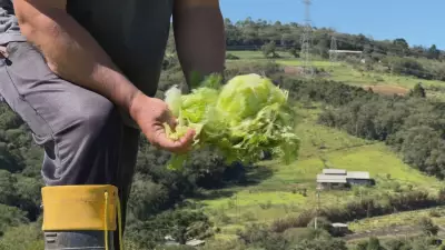 Chuva de granizo em Piedade deixa 20 famílias desalojadas e destrói plantações