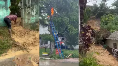 Chuvas intensas no Grande Recife causam deslizamento, alagamentos e queda de árvore histórica