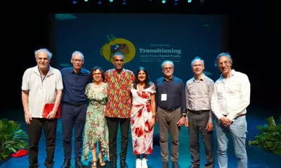 Cientistas criam painel para guiar transição energética global