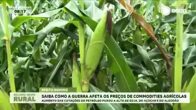 Conflito no Oriente Médio eleva preços de commodities agrícolas no Brasil