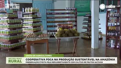Cooperativa na Amazônia alia produção sustentável e reflorestamento com frutos nativos