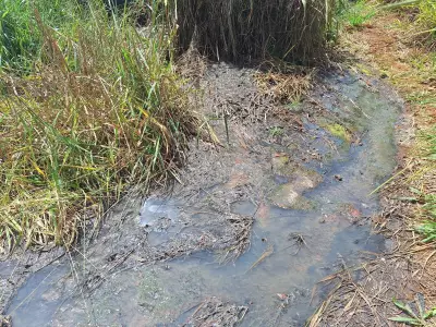 Copasa é indiciada por crime ambiental após vazamento de esgoto em área de preservação em Araxá
