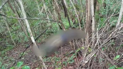 Corpo de homem desaparecido é encontrado em mata no interior do Piauí