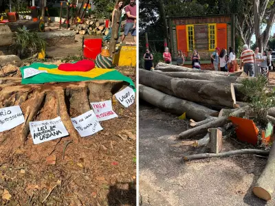Corte de árvores em praça de Campinas gera protesto de moradores