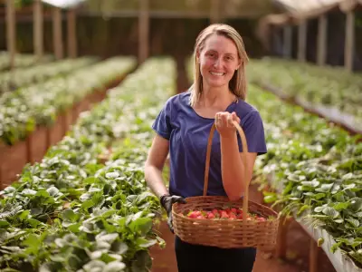 Cresol lança relatório de sustentabilidade 2025 com avanços ESG e R$ 16 bi em crédito verde