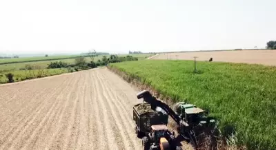 Etanol de cana: Brasil lidera transição energética com biocombustível consolidado