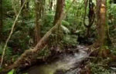 Exército brasileiro enfrenta traficantes armados em confrontos na fronteira com Colômbia