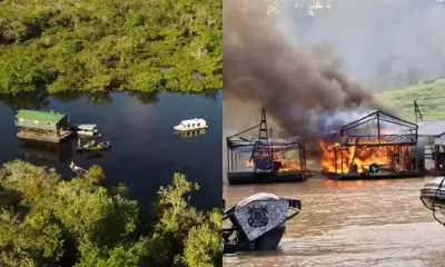 Facções criminosas transformam crimes ambientais em nova fronteira de poder na Amazônia