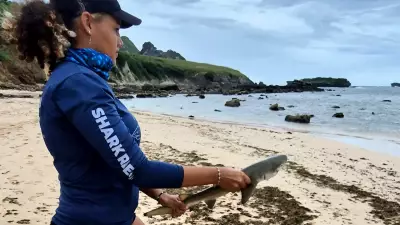 Fernando de Noronha oferece cursos gratuitos para incentivar mulheres na ciência marinha