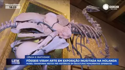 Fósseis viram arte em exposição inusitada no museu de Amsterdã, Holanda